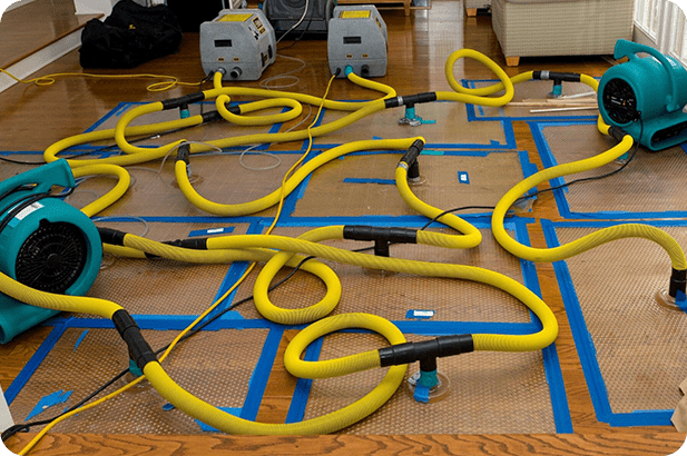 A bunch of yellow cords are laying on the floor