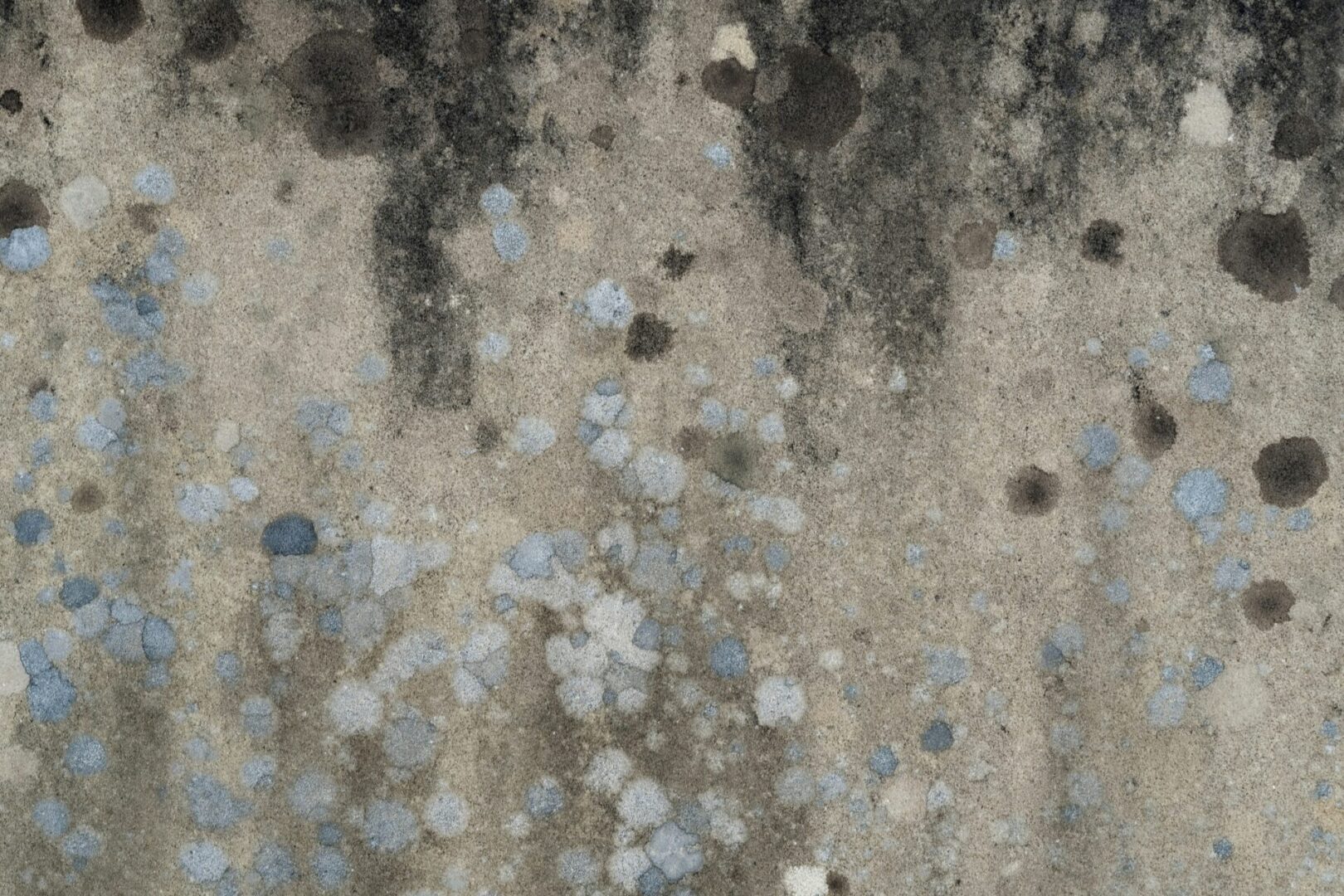 A close up of the ground with different colors