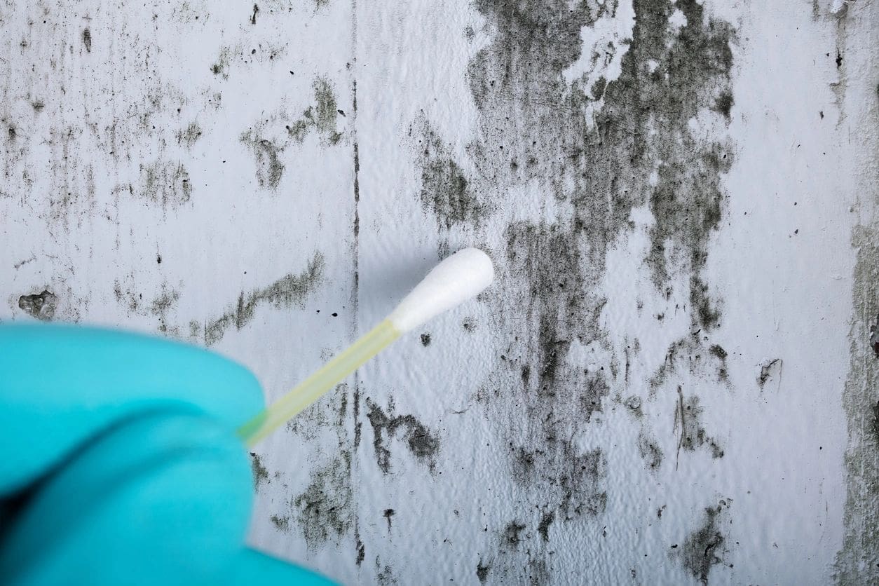 A person wearing gloves and cleaning brush on the side of a wall.